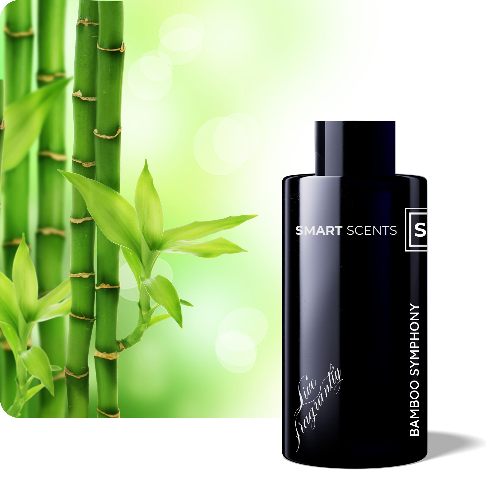 Bamboo Symphony Fragrance Oil