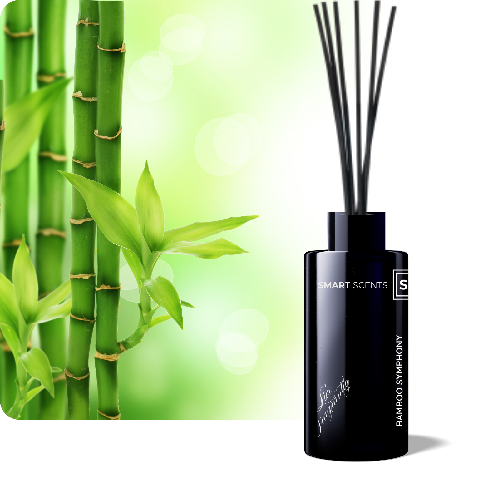 Bamboo Symphony Reed Diffuser