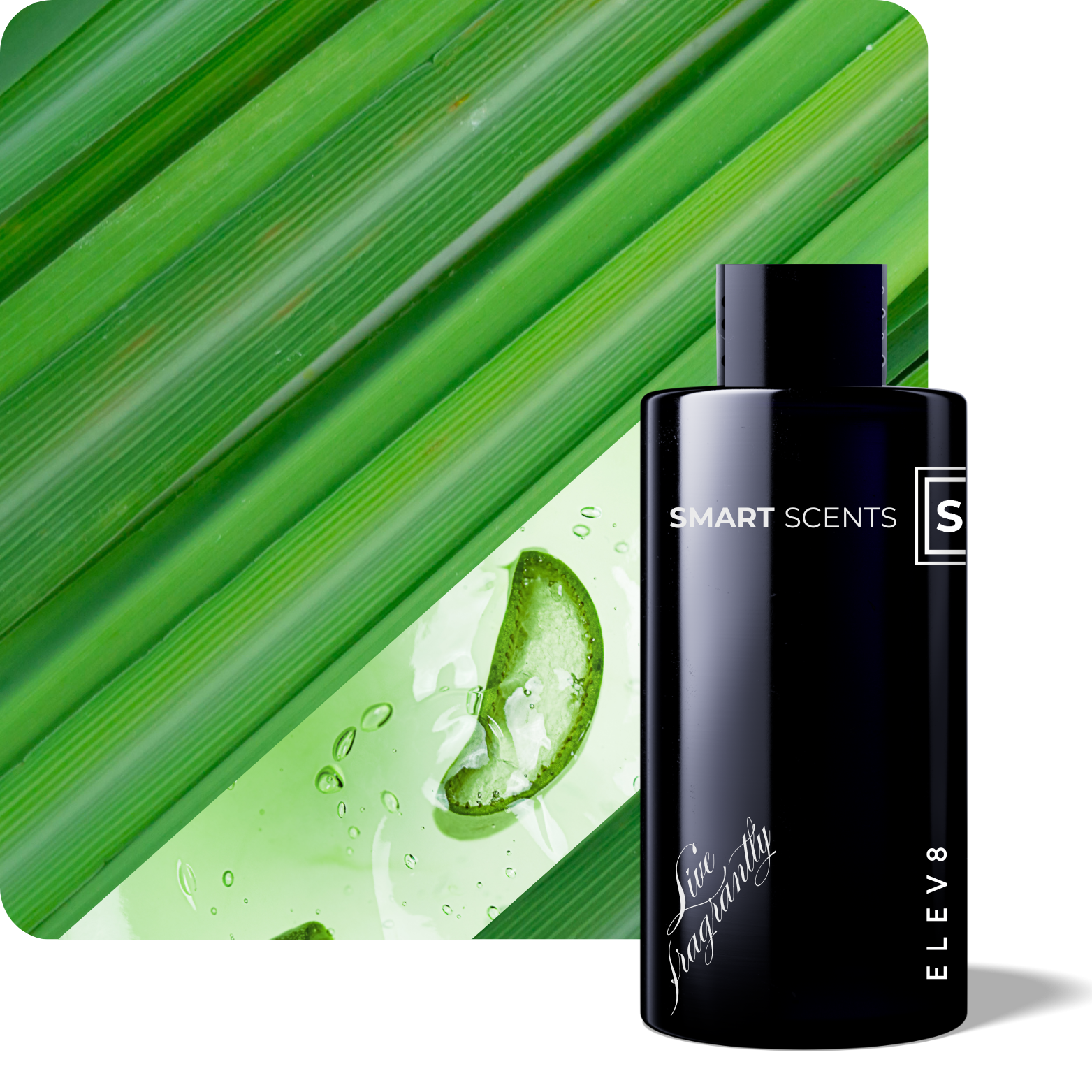 Nomad Scent Diffuser Gift Set - Scent My Open House