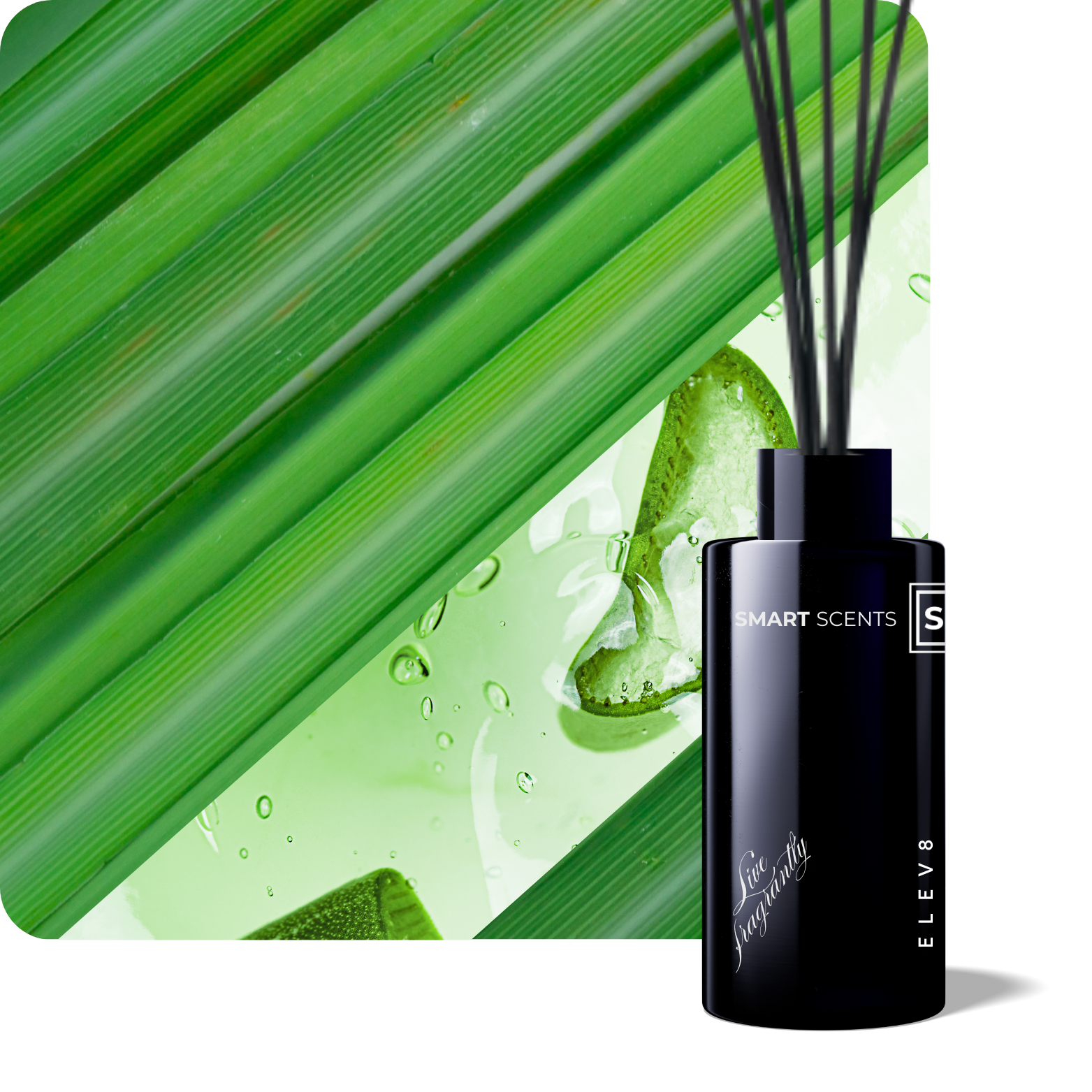 Elev8 Fragrance Reed Diffuser