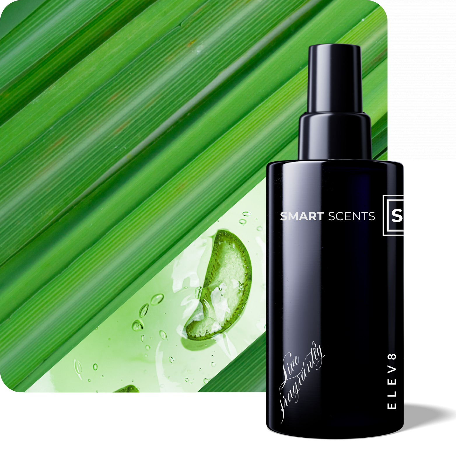 Elev8 Fragrance Room Spray