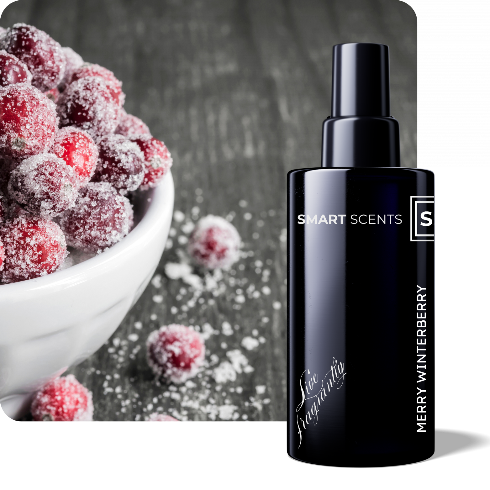 Merry Winterberry Room Spray