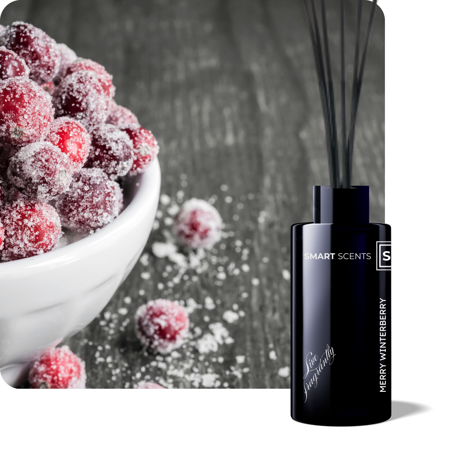 Merry Winterberry Reed Diffuser