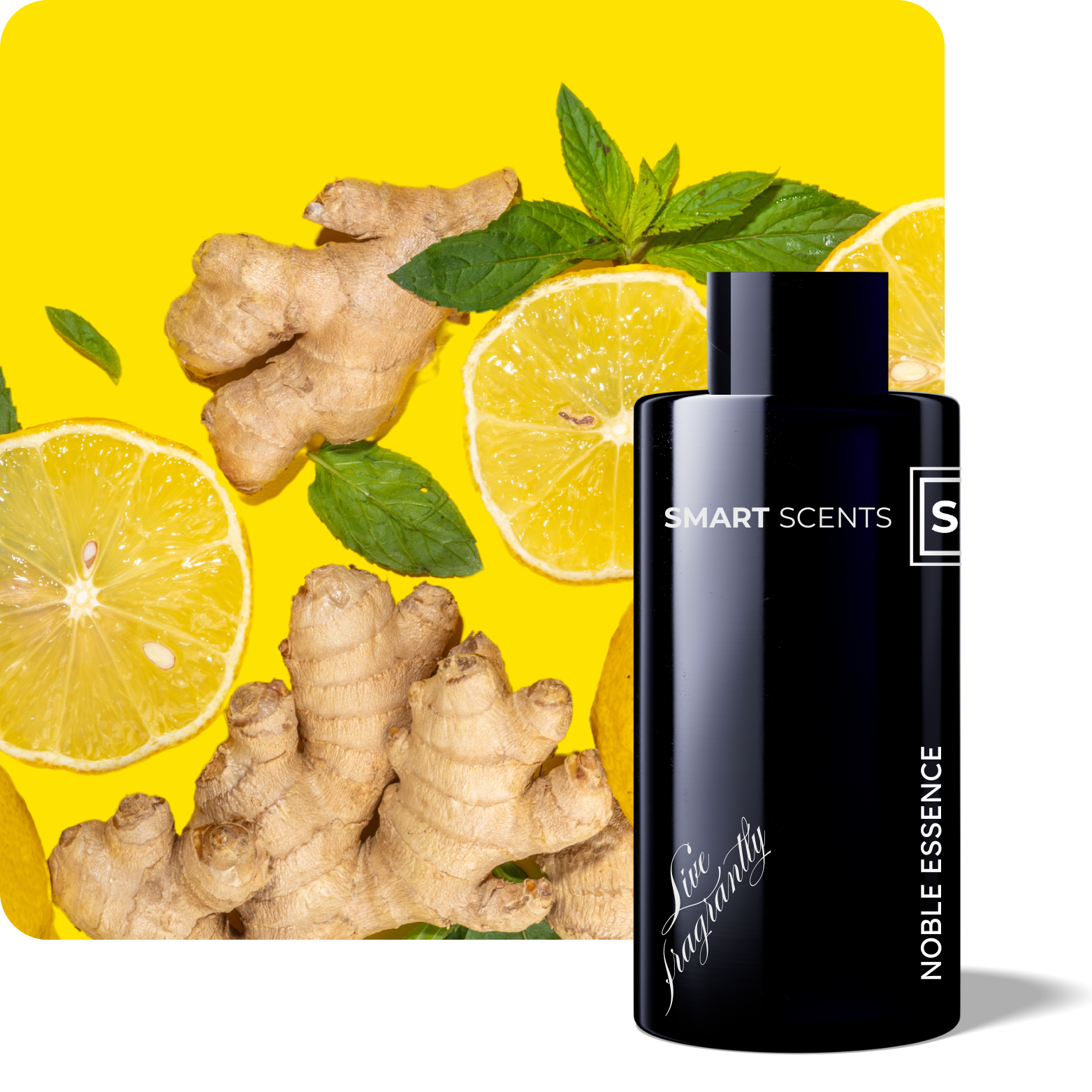 Nomad Scent Diffuser Gift Set - Resort Collection