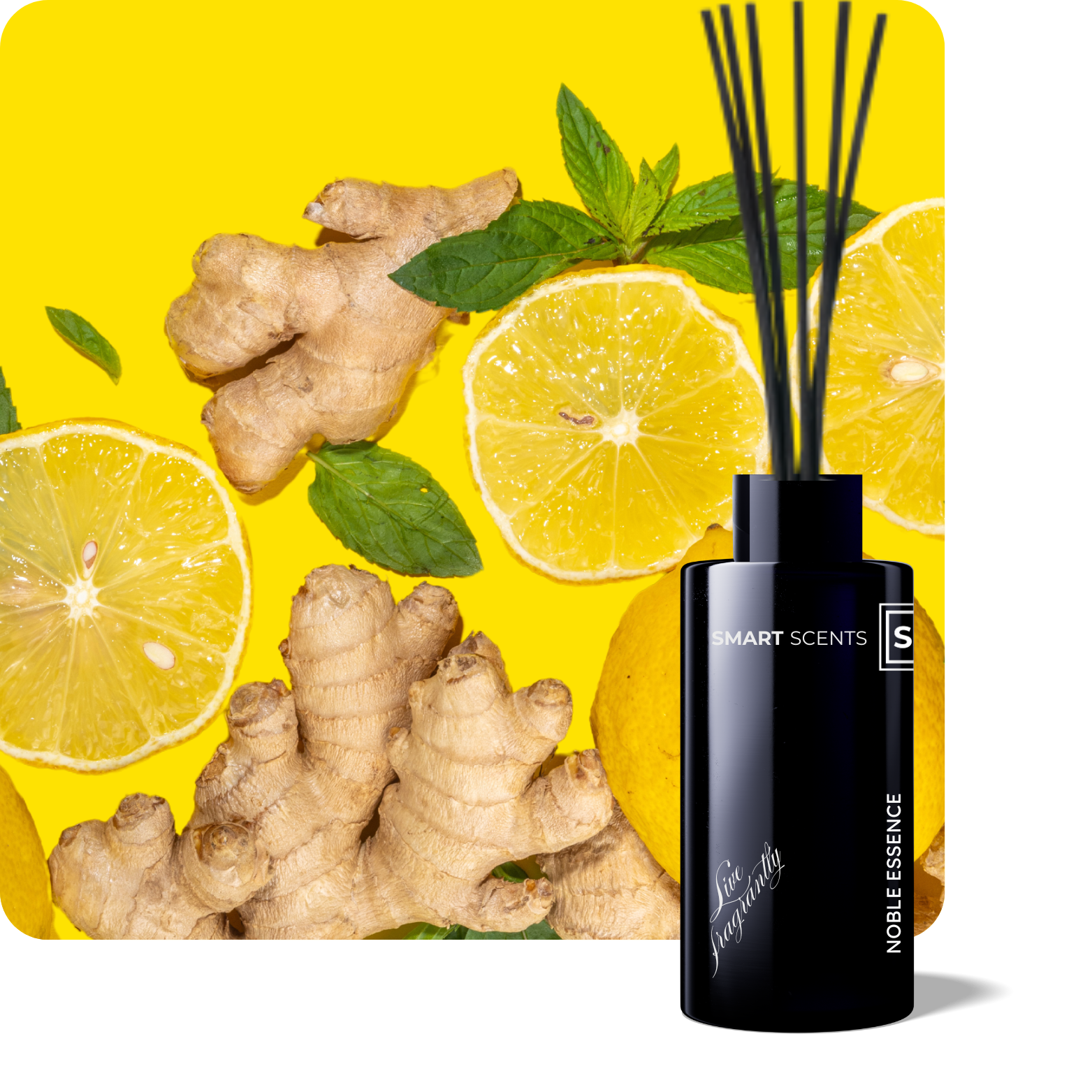 Noble Essence Reed Diffuser