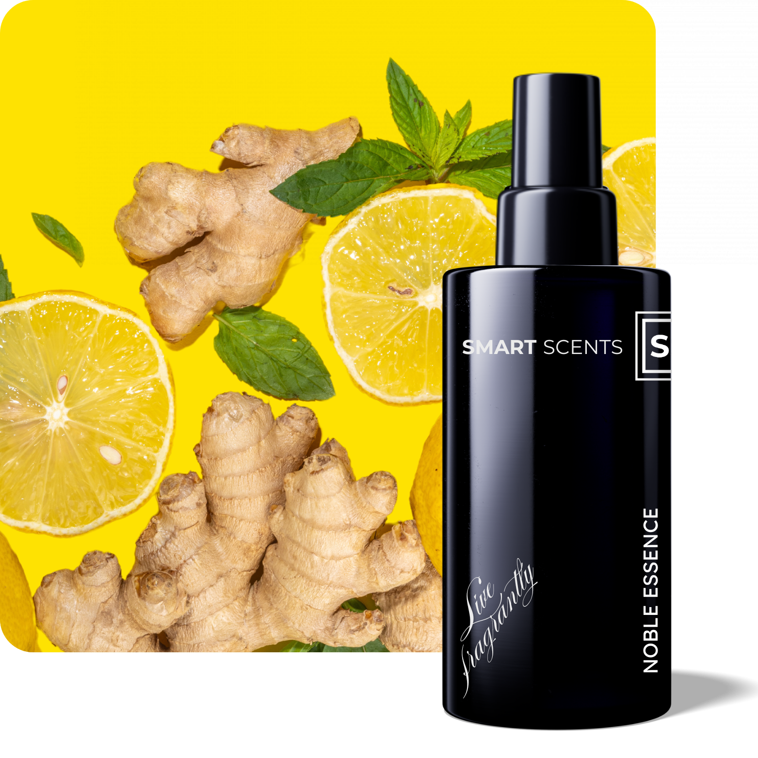 Noble Essence Room Spray