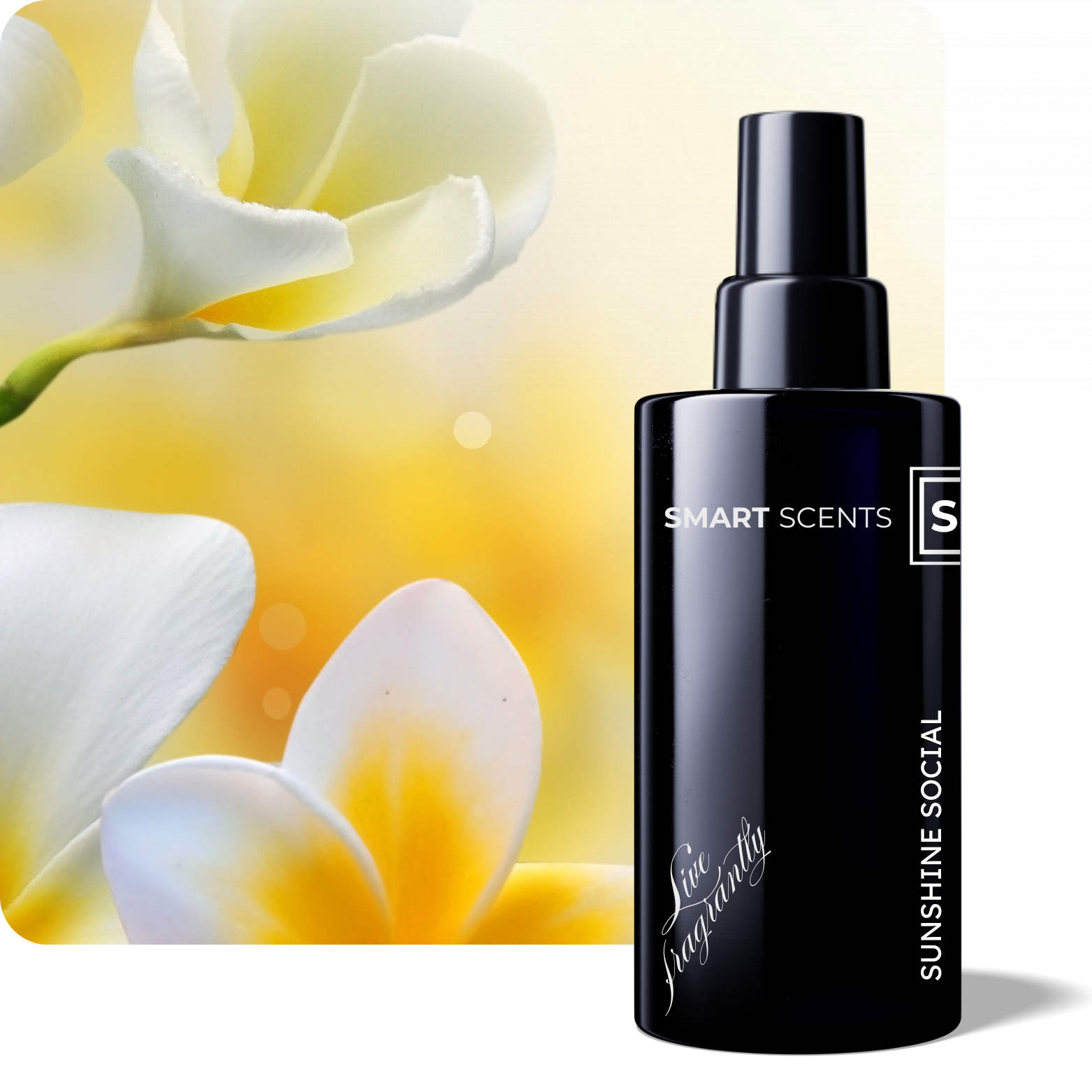 Sunshine Social Room Spray