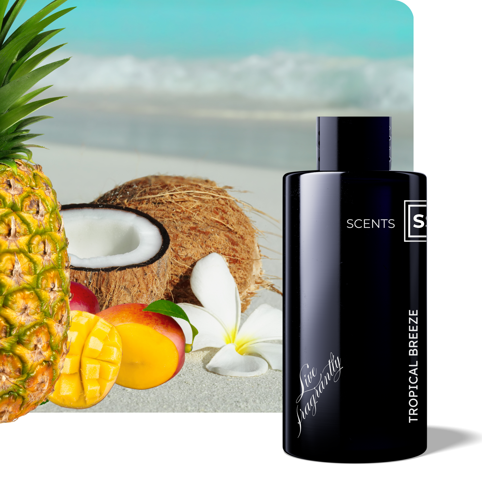 Tropical Breeze Fragrance Oil