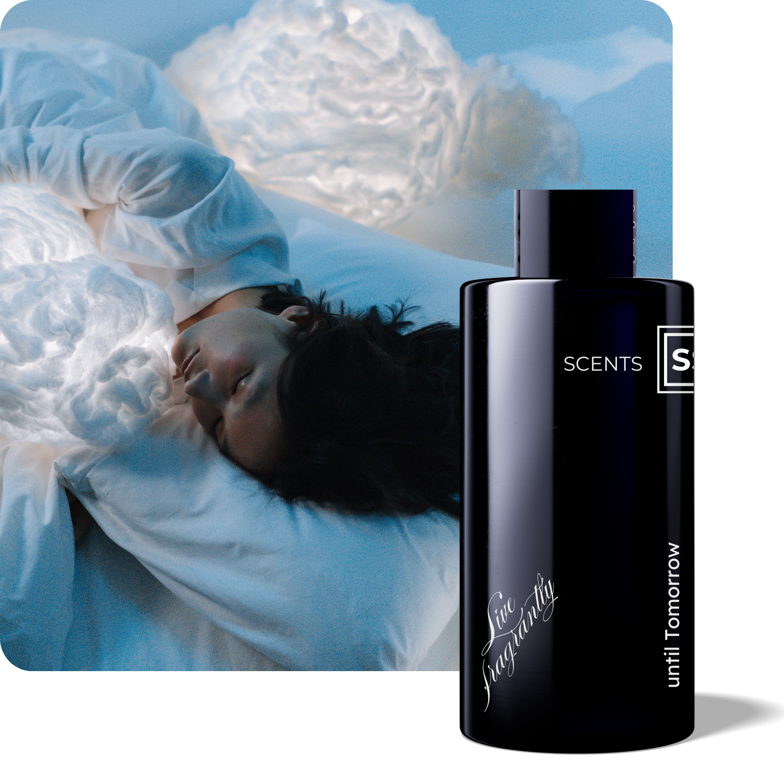 Nomad Scent Diffuser Gift Set - Wellness Collection