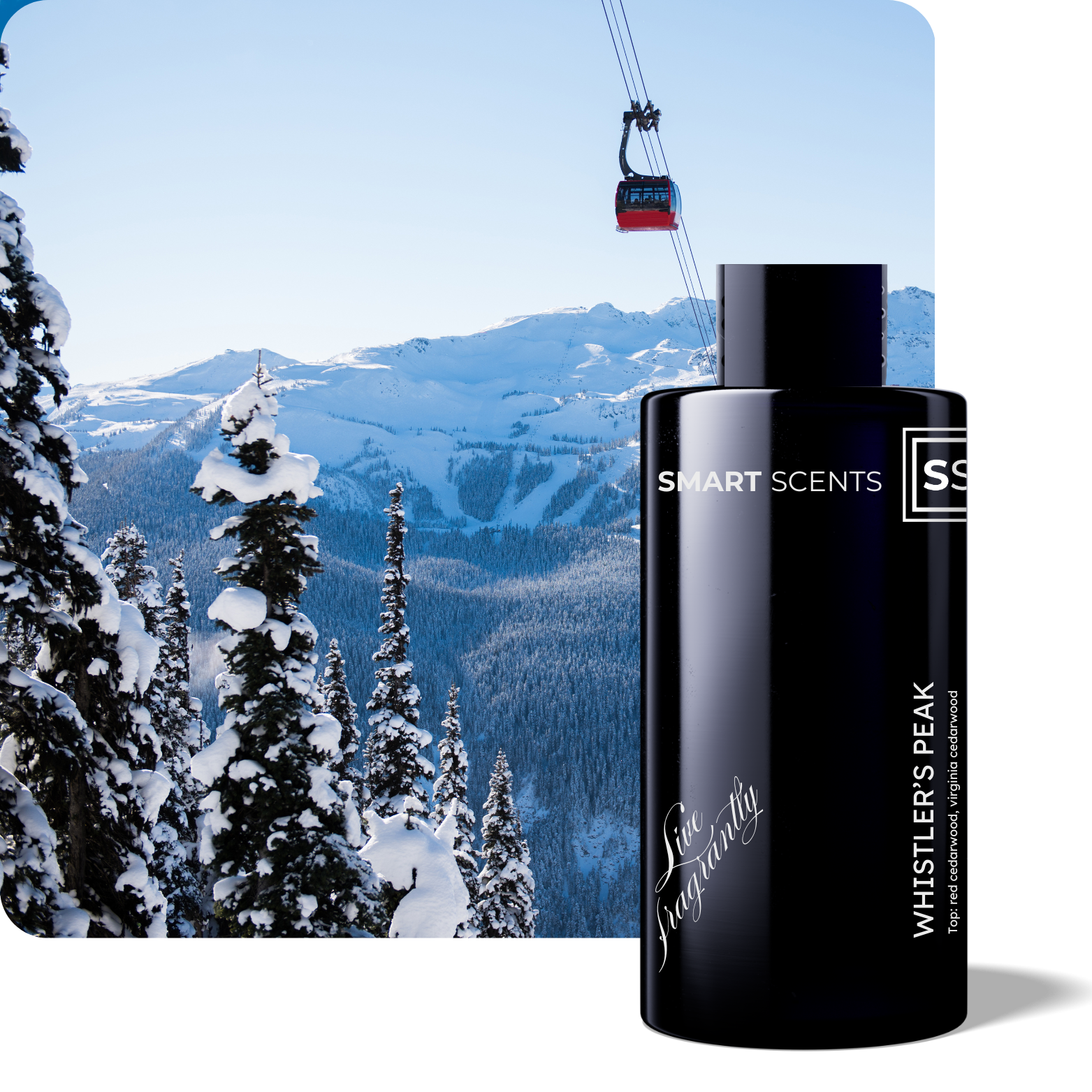 Whistler&