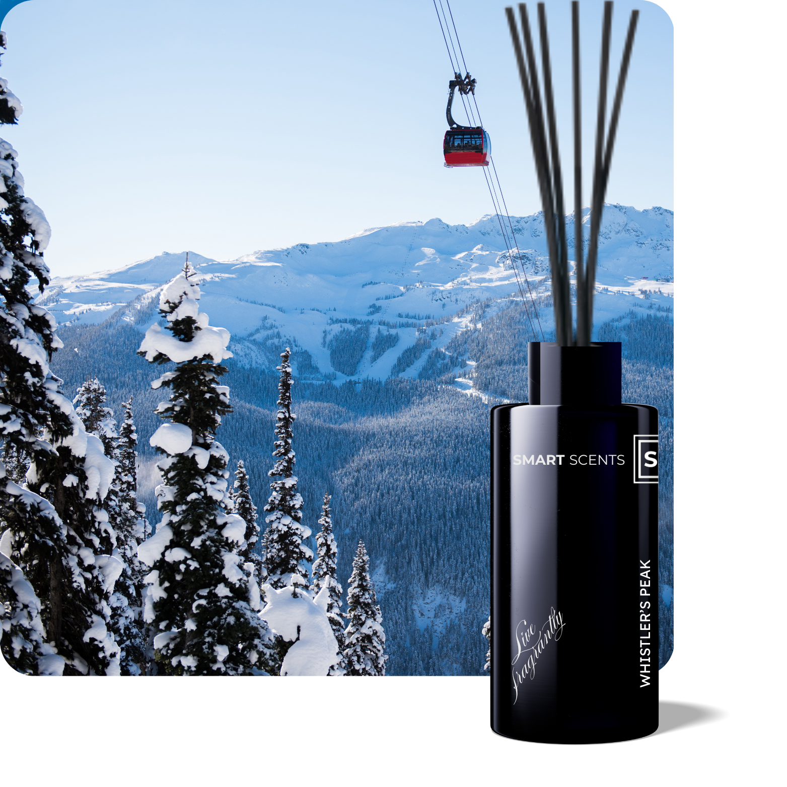 Whistler&