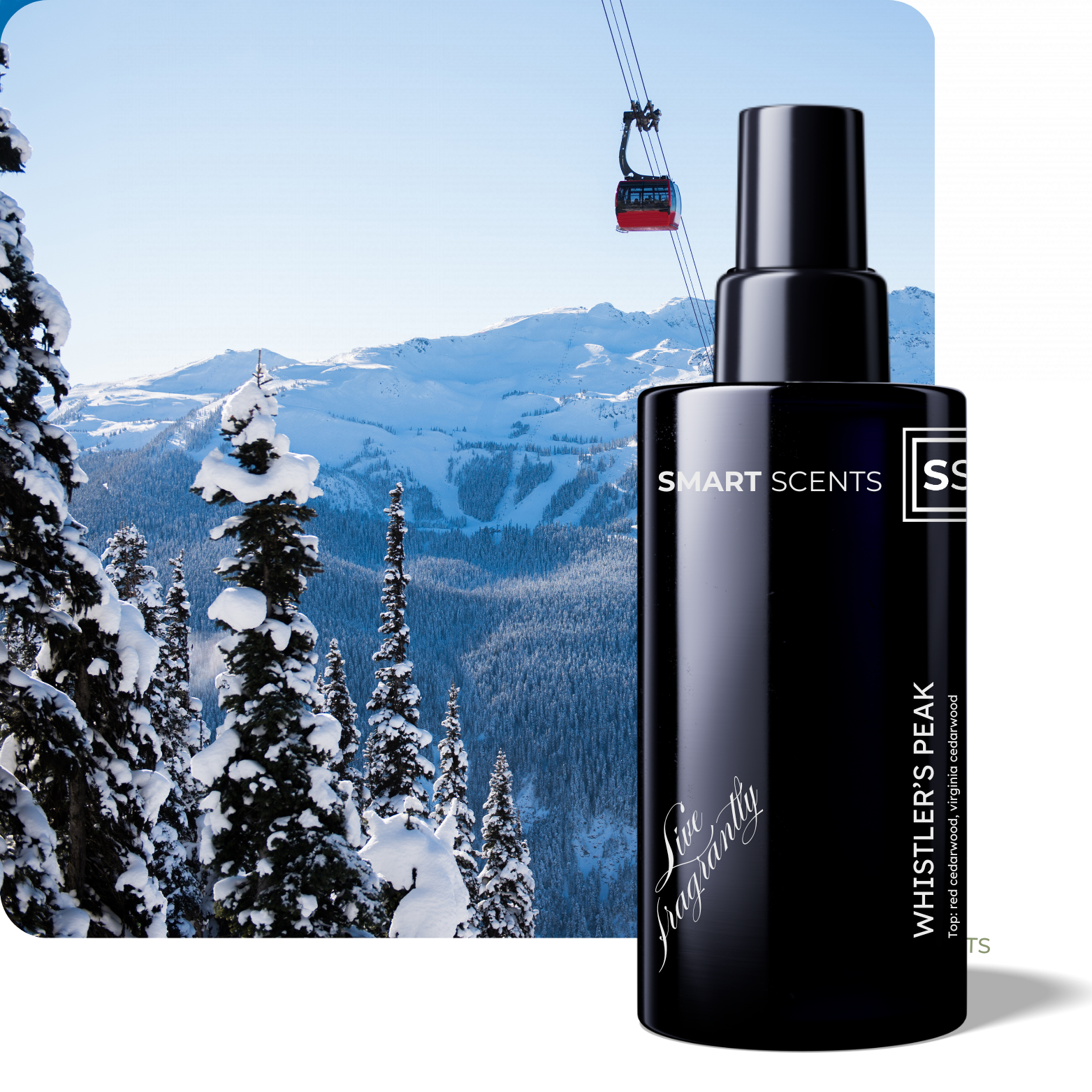 Whistler&